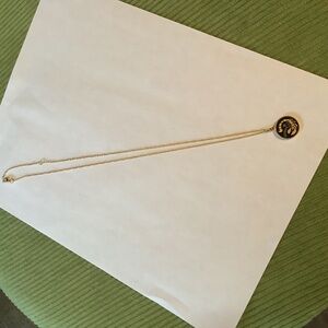 Scorpio zodiac sign necklace.